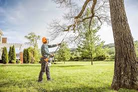 How Our Tree Care Process Works  in Mccom, OH